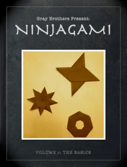 ninjagami book cover image