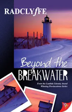 beyond the breakwater book cover image