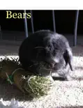 Bears reviews
