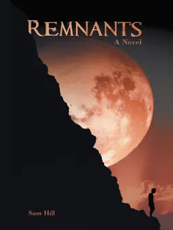 remnants book cover image
