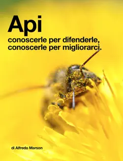 api book cover image