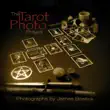 The Tarot Photo Project synopsis, comments