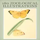 Zoological Illustrations reviews