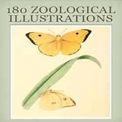 zoological illustrations book cover image