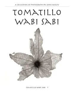 tomatillo wabi sabi book cover image