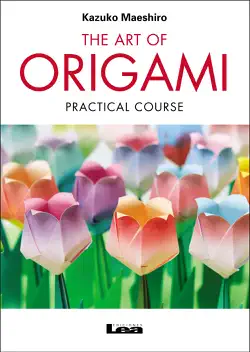 the art of origami imagen de la portada del libro