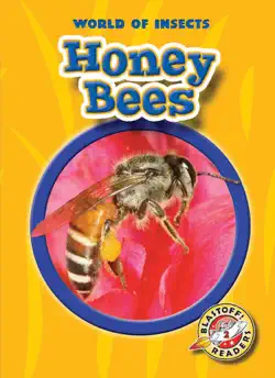 honey bees book cover image