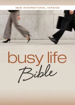 niv, busy life bible book cover image