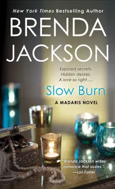 slow burn book cover image