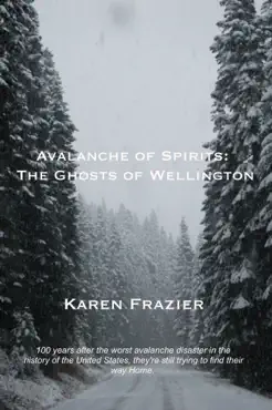 avalanche of spirits book cover image