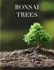 Bonsai Trees synopsis, comments