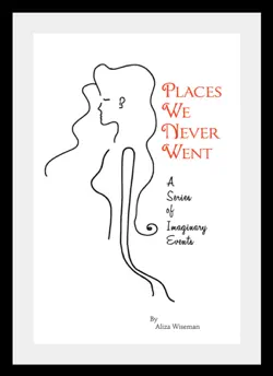 places we never went book cover image
