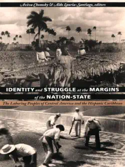 identity and struggle at the margins of the nation-state book cover image