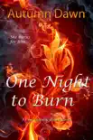 One Night to Burn synopsis, comments