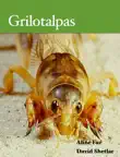 Grilotalpas synopsis, comments