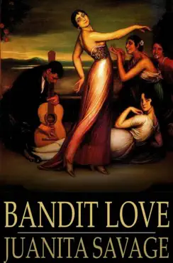 bandit love book cover image