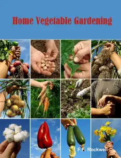 home vegetable gardening book cover image
