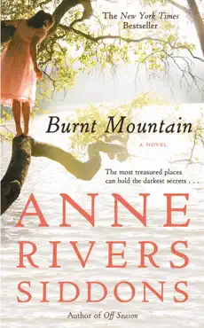 burnt mountain book cover image