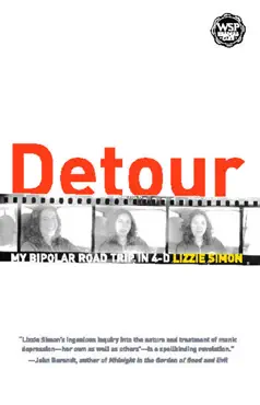detour book cover image