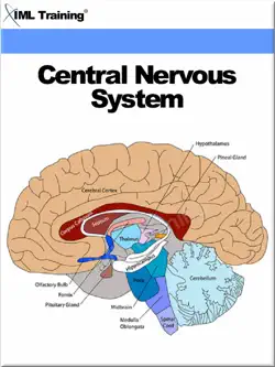 central nervous system book cover image