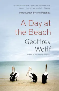 a day at the beach book cover image