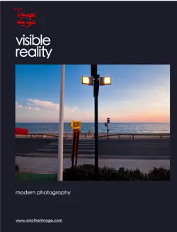 visible reality book cover image