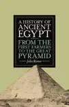 A History of Ancient Egypt sinopsis y comentarios