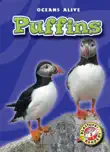 Puffins synopsis, comments