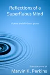 Reflections of a Superfluous Mind sinopsis y comentarios