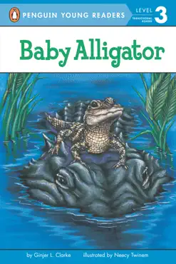 baby alligator imagen de la portada del libro