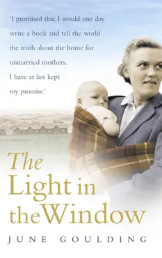 the light in the window book cover image