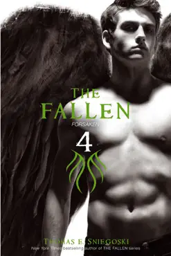 the fallen 4 book cover image