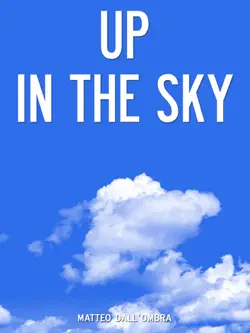 up in the sky book cover image