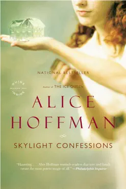 skylight confessions book cover image