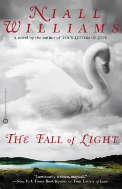 the fall of light book cover image