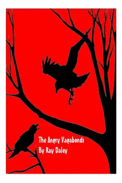 the angry vagabonds book cover image