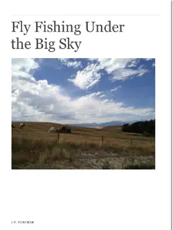 fly fishing under the big sky book cover image