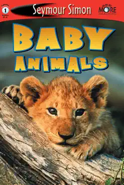 baby animals book cover image