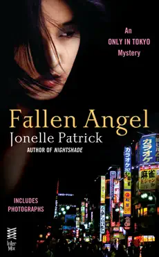 fallen angel book cover image