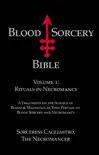 Blood Sorcery Bible Volume 1 synopsis, comments