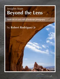 insights from beyond the lens book cover image
