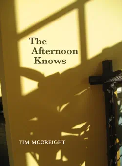 the afternoon knows book cover image