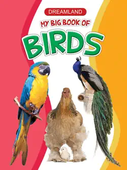 my big book of birds book cover image