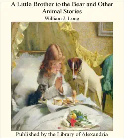 a little brother to the bear and other animal stories book cover image