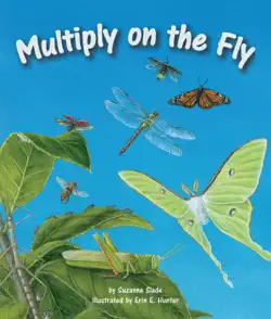 multiply on the fly book cover image