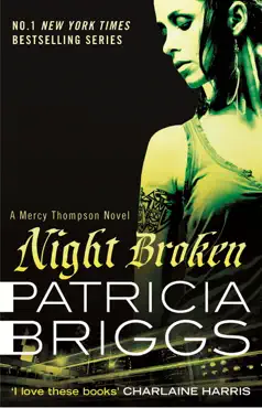 night broken imagen de la portada del libro
