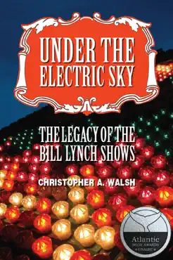 under the electric sky book cover image