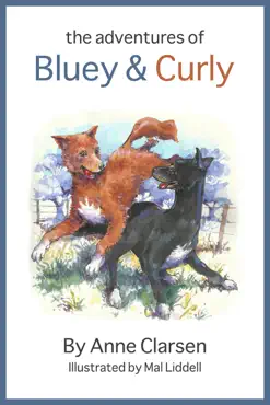 the adventures of bluey and curly book cover image