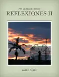 Reflexiones II e-book