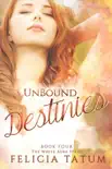 Unbound Destinies synopsis, comments